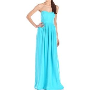 Parker Bayou Strapless Silk Gown